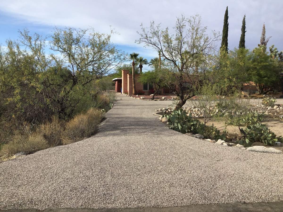 Desert driveway with cactus landscaping in New Mexico