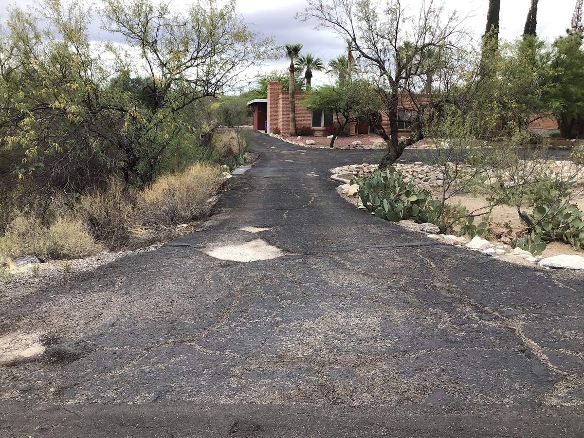 Chip seal driveway with desert vegetation